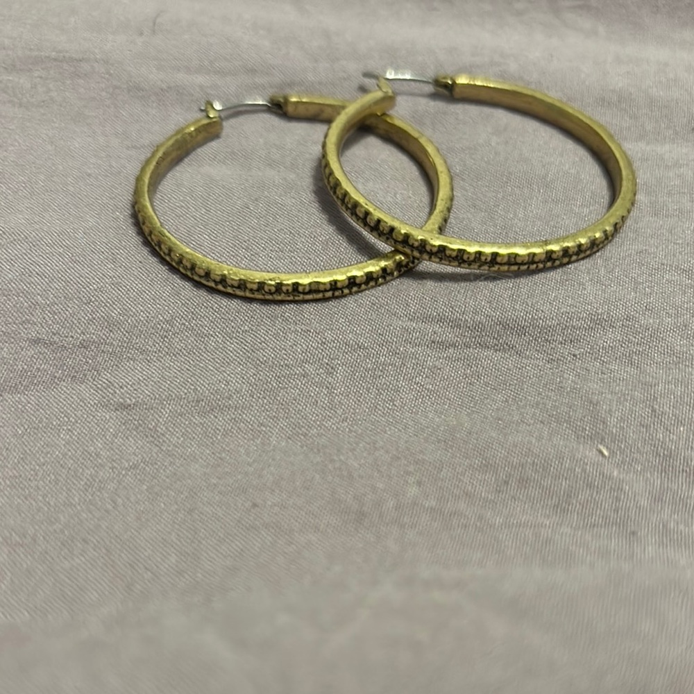 Elegant Gold Hoop Earrings